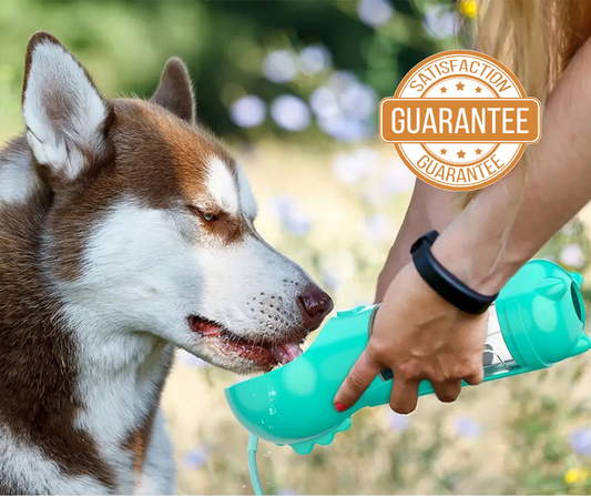 IzzyPet™ Ultimate Dog Bottle