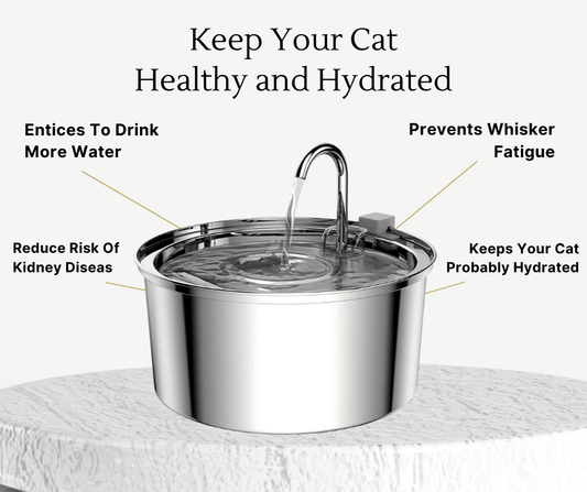 IzzyPet™ Cat Water Fountain | Keeps Your Cat Hydrated, Healthy, and Thriving