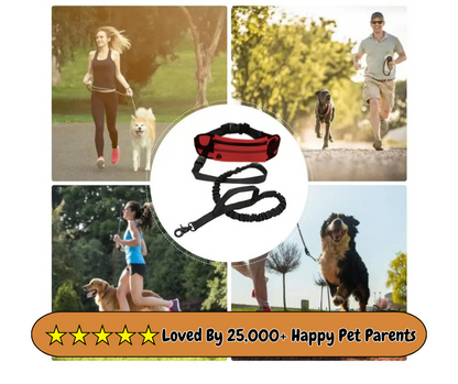 IzzyPet™ Hands Free Dog Leash