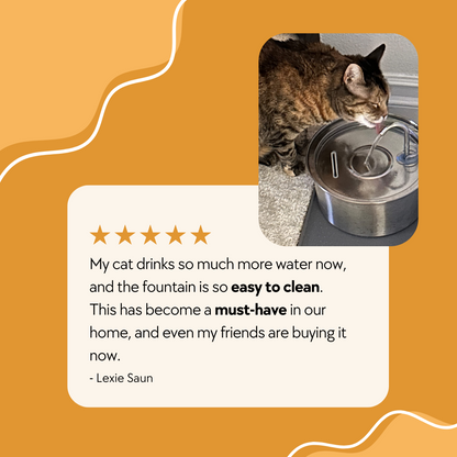 IzzyPet™ Cat Water Fountain | Keeps Your Cat Hydrated, Healthy, and Thriving