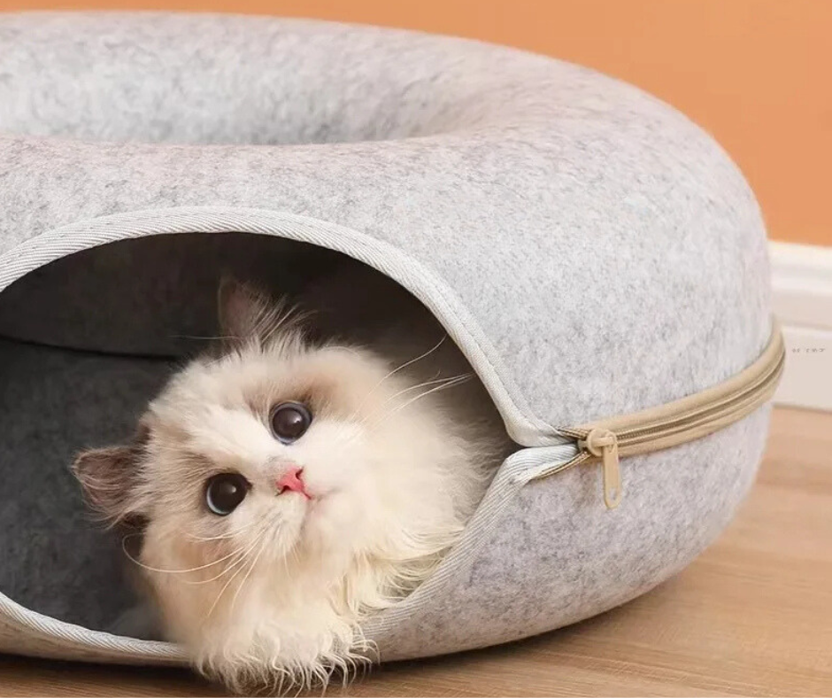 Donut Cat Tunnel