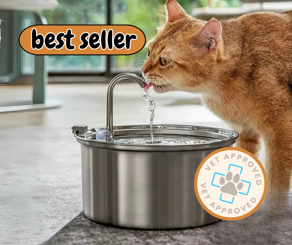 IzzyPet™ Cat Water Fountain | Keeps Your Cat Hydrated, Healthy, and Thriving